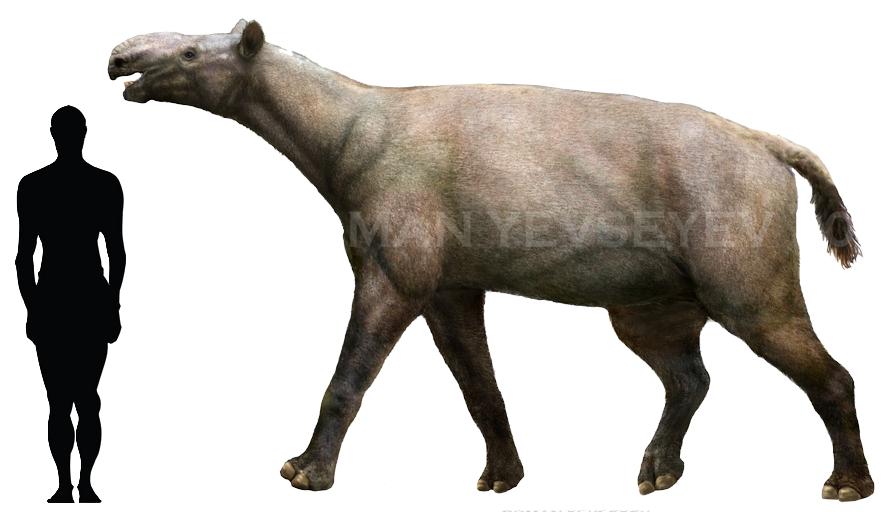 0f0d36d70ffe832547b759db3adbe2ca