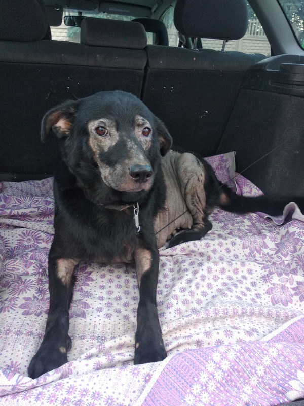 photo_2023-09-05_16-29-16