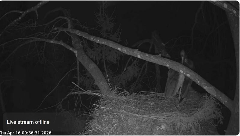 2026 04 15 p 00 36 31