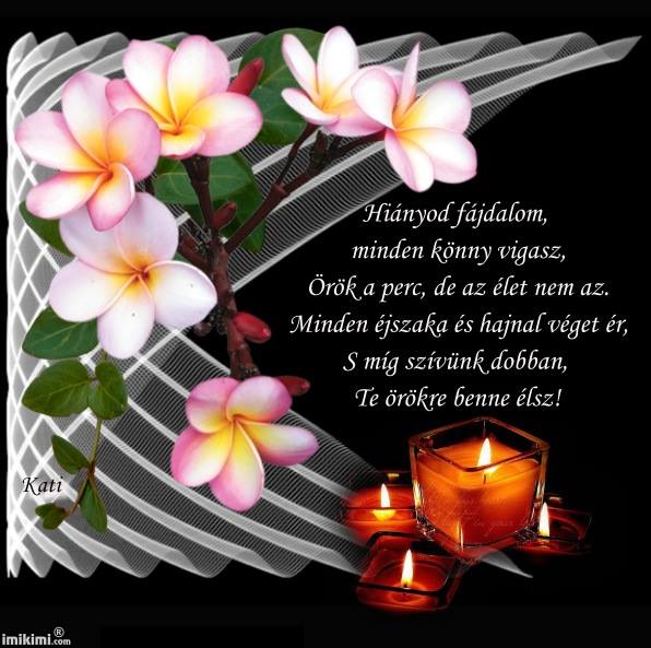 11138553_593619967405087_2393028129759339919_n