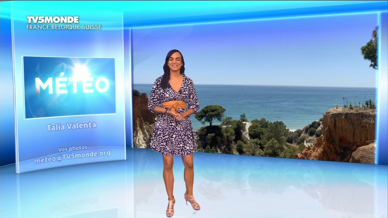 22 June - 17.25.00 - Météo. Le bulletin météorologique international.ts_snapshot_11.40.657