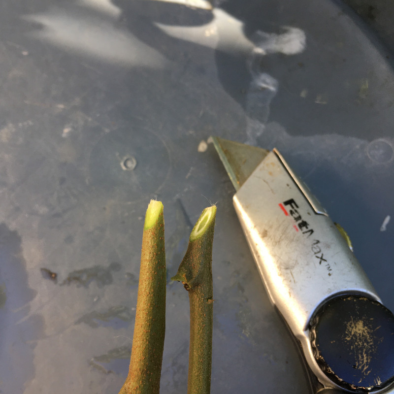 487D0765-1A17-48B6-B500-BE81B635103D