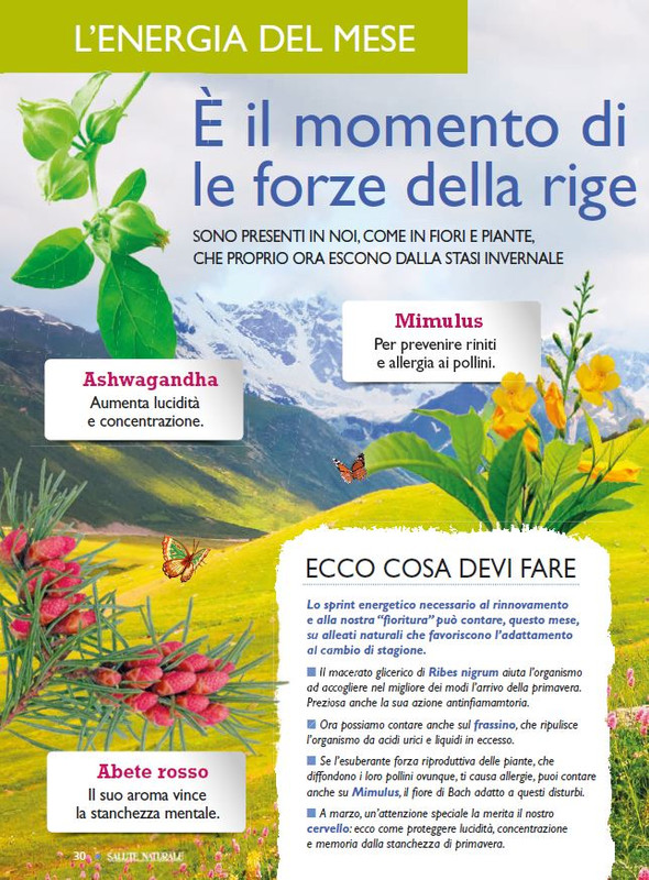 Sal Nat  Mar 2023 (1)