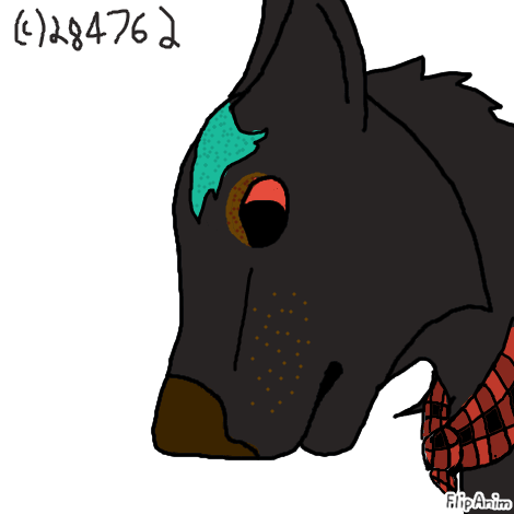 798BA13C-7FEA-4EED-A994-D5F815CC2E30