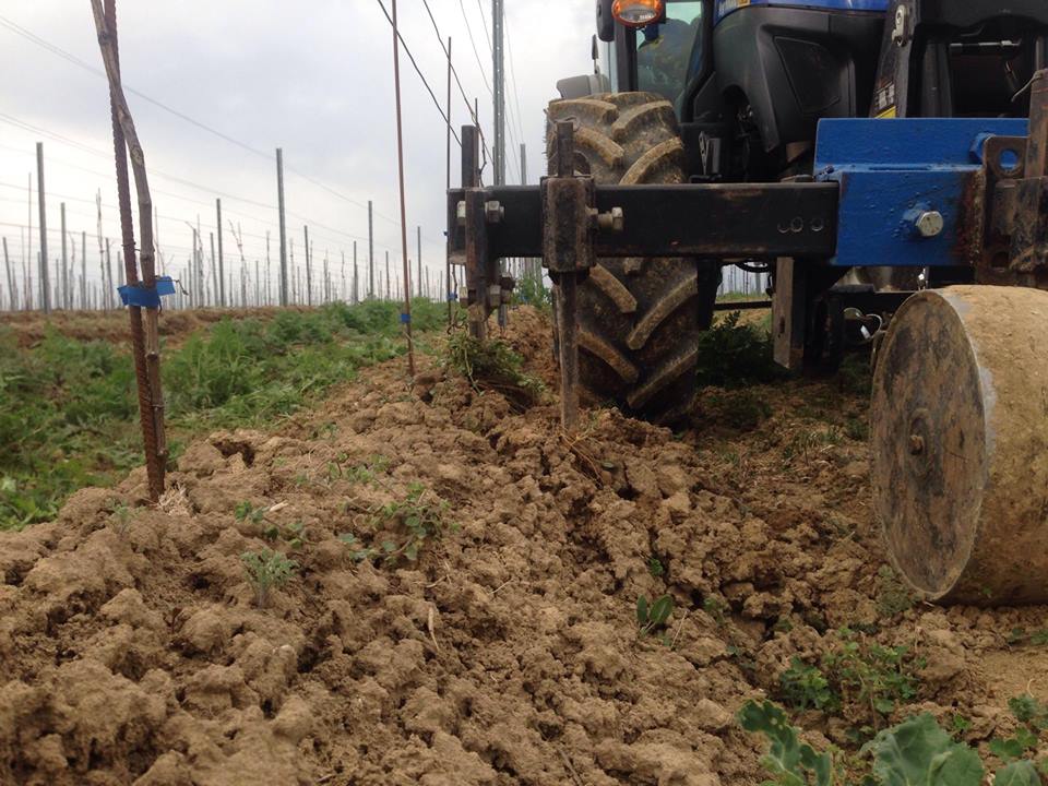 12968532_10204518611163529_554991470_n