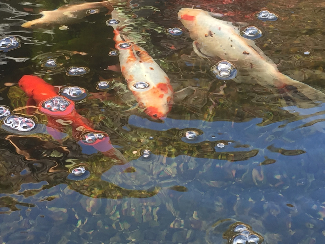 882DF5A6-82A6-4C8F-8AE8-915B90233BE0