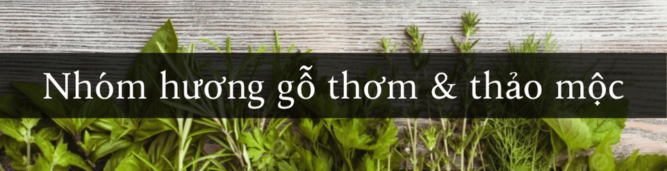 nhom-huong-go-thom-va-thao-moc.png