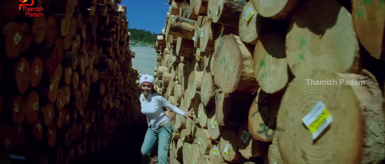 vlcsnap-2025-09-30-17h37m49s099