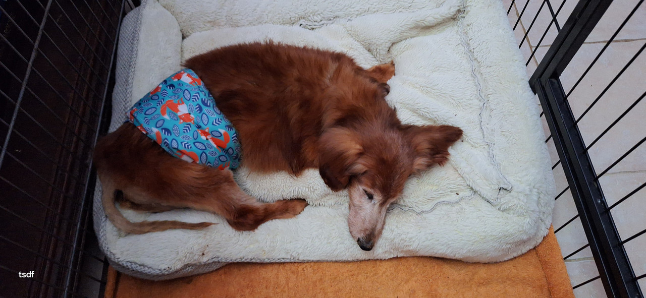 [Image: 20250308-204613.jpg]