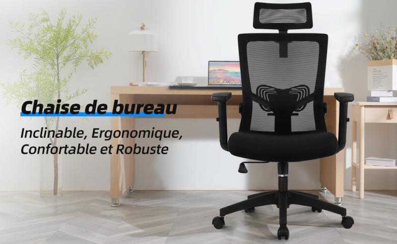 Lexzurn - Chaise de Bureau Lexzurn avec Coussin Lombaire 3D Réglable, Noir  - Bureaux - Rue du Commerce