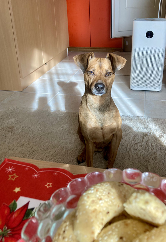 E3311711-65A8-4628-8F9D-DD90A28F5369