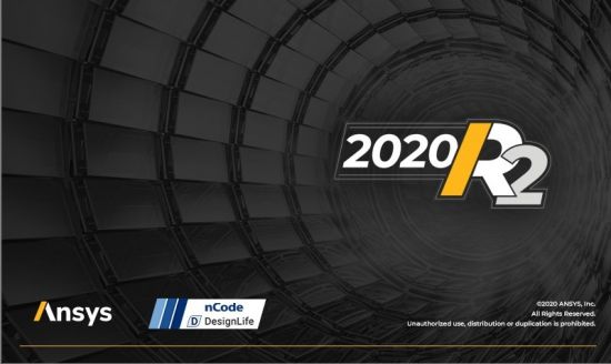 ANSYS 2020 R2 nCode DesignLife (64bit)