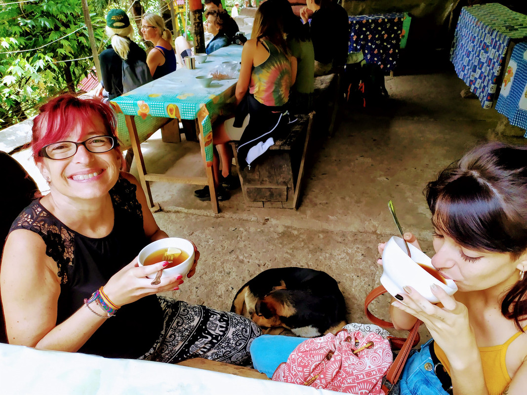 Colombia por libre en 18 días - Blogs de Colombia - Valle del Cócora y Salento (16)