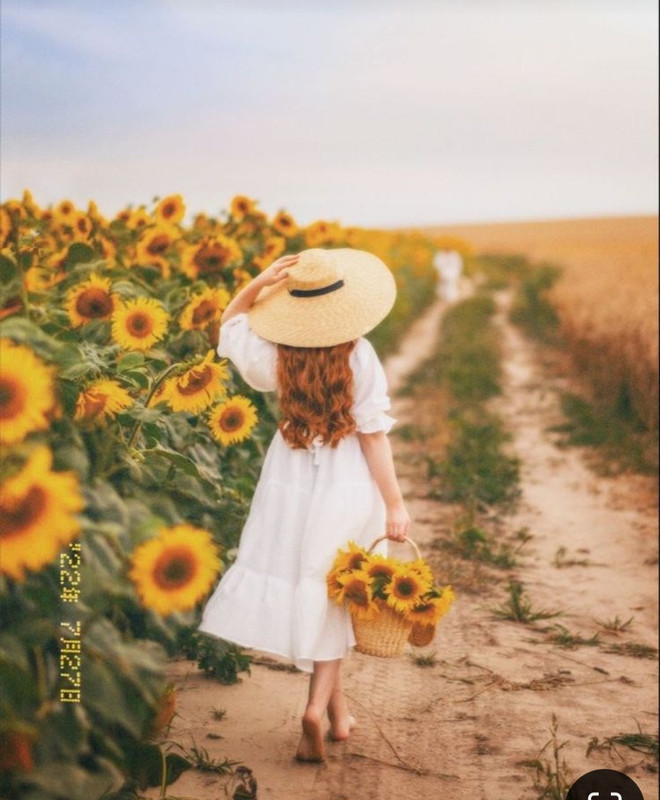 Screenshot_20240607_220459_Pinterest