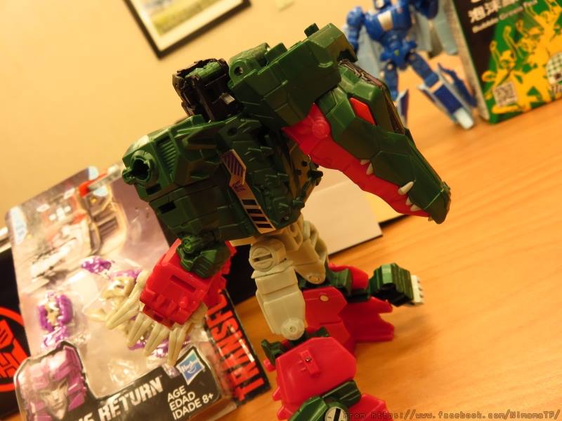 13312611_272534013097033_4431002553484594754_n