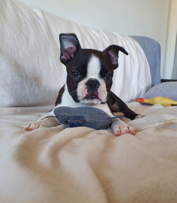 0B44393B-199B-4FCA-86CE-1CC22773F254