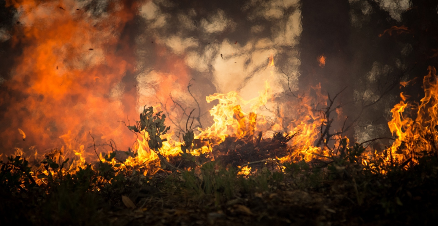 incendi in agricultura