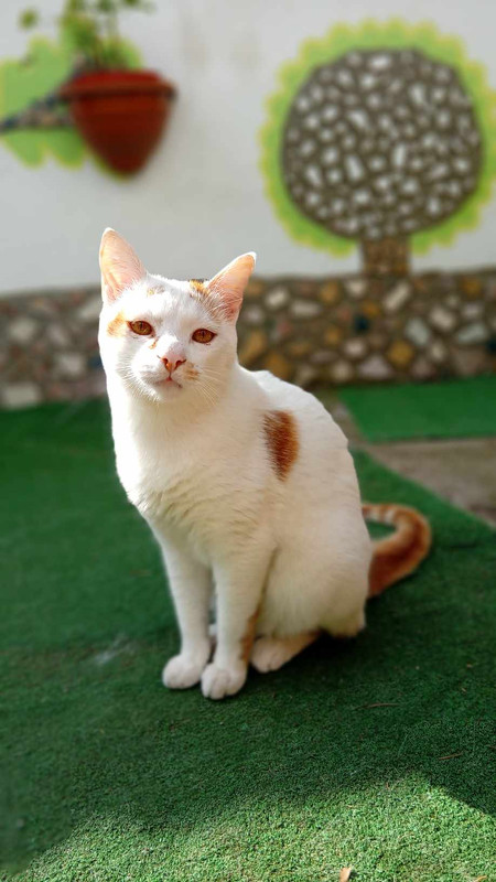 433434328_778503207497548_1676492701762989171_n