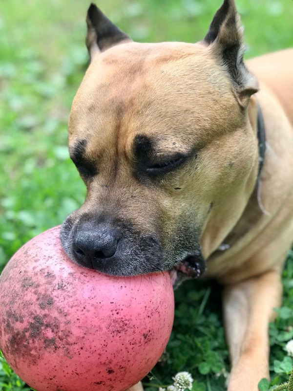 WhatsApp Image 2022-08-27 at 10.39.00 (2)