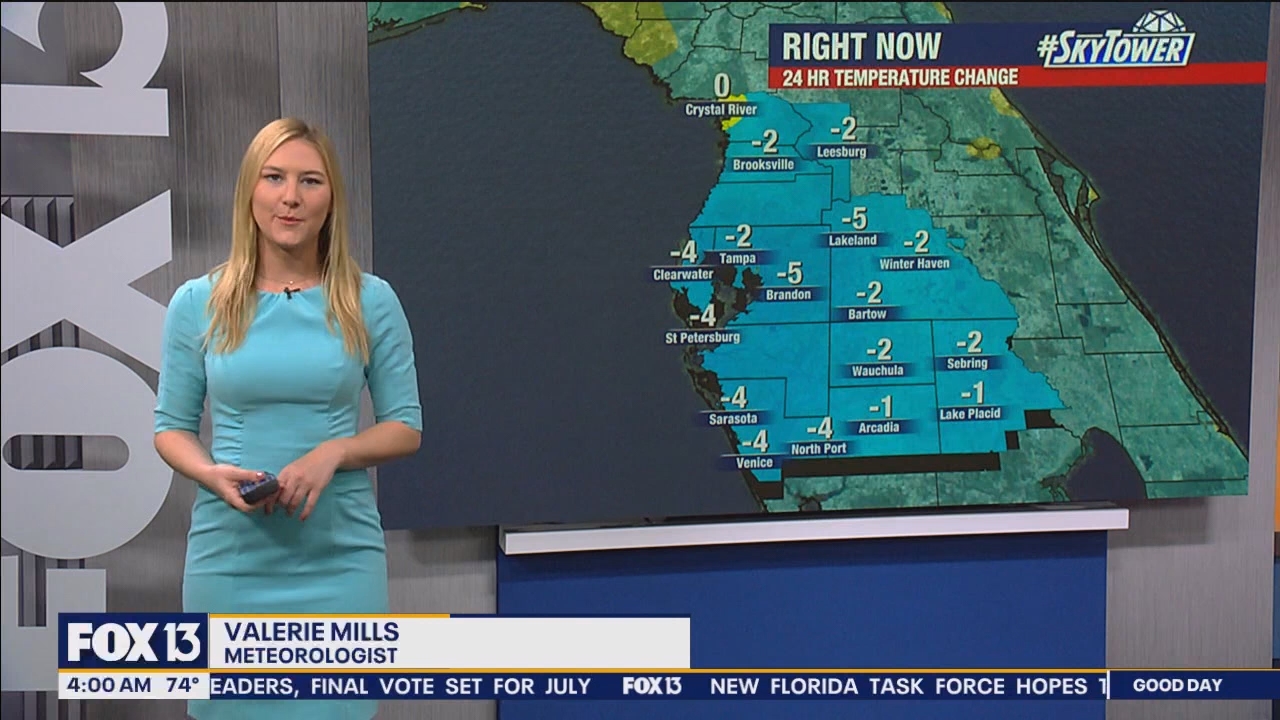 FOX13s Good Day Tampa Bay at 400am_20240614_09000930.ts_snapshot_01.44.366