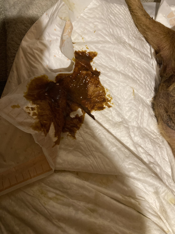 C163B525-1348-40F2-8BAE-18FD02521231