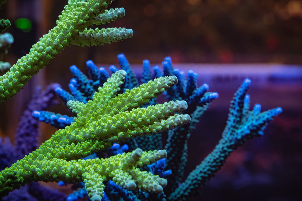 0D34C6EF-883A-4B04-9775-12008830F48C