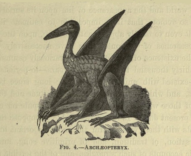 mythicalmonsters00goulrich_0035 (1)