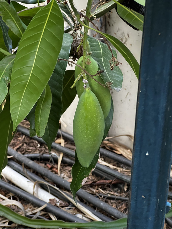 210498A7-2A6B-4EEB-B5E3-C24132B9D2B7