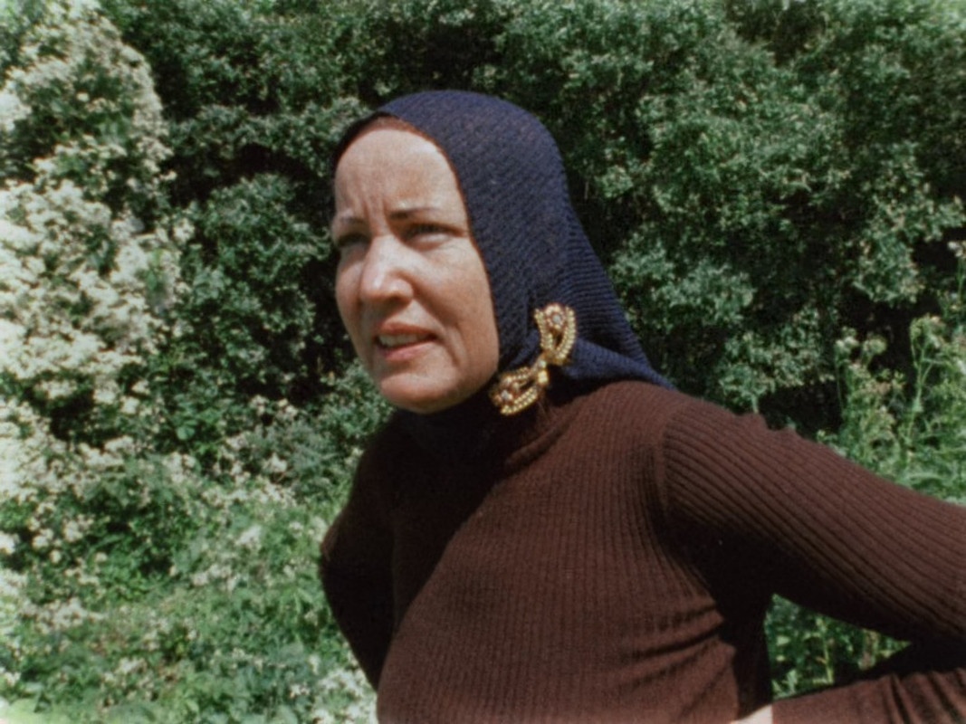 Grey Gardens (1975) (1080p BluRay x265 Silence)-1