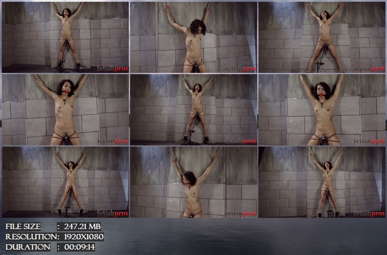 https://i.postimg.cc/3xFj5Ky8/297-BDx-Standing-Bondage-Orgasms-mp4.jpg