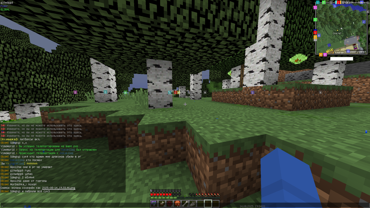 2025-08-14_19.34.01 (2)