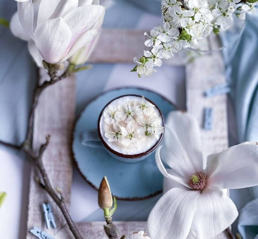 Screenshot_20230211_152145_Chrome