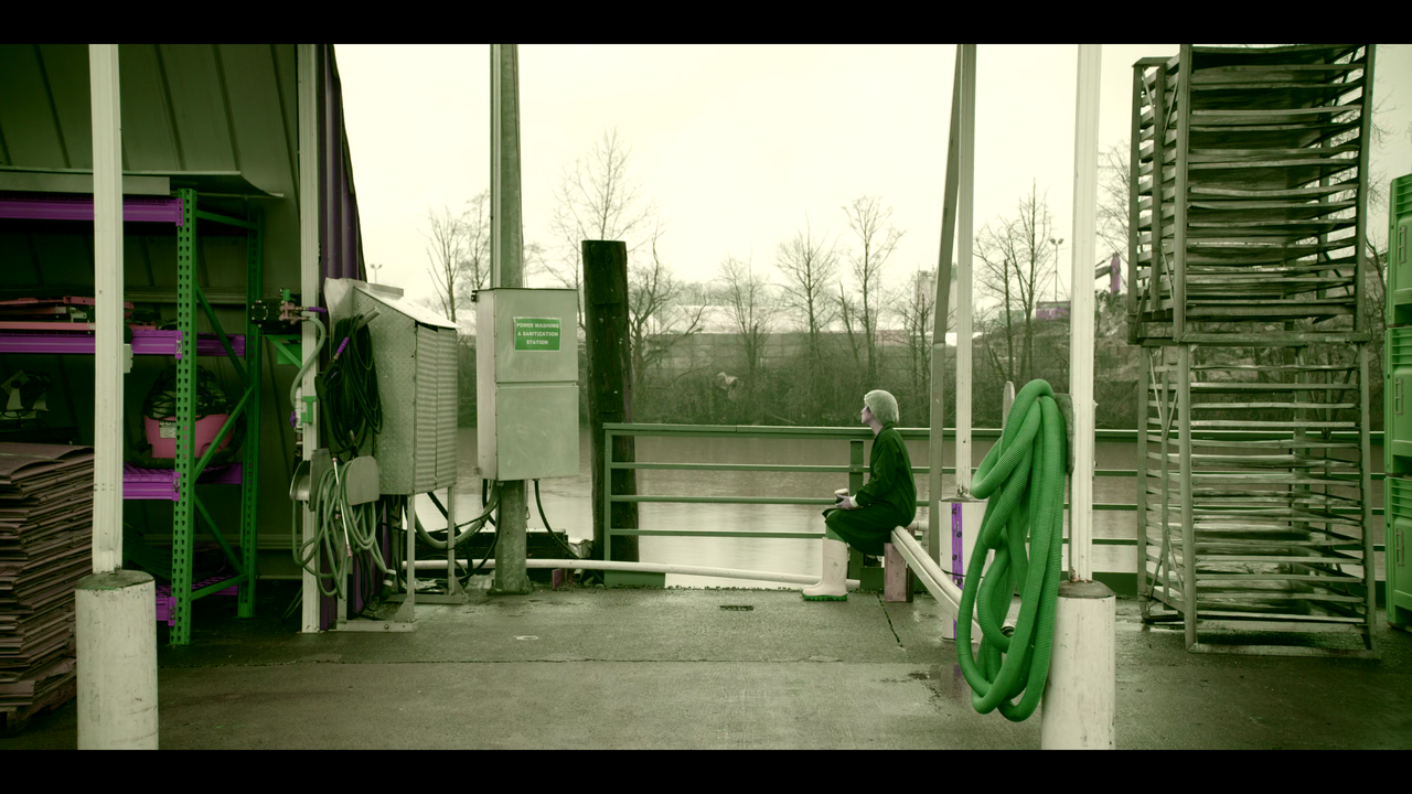 vlcsnap-2021-12-13-19h32m22s728