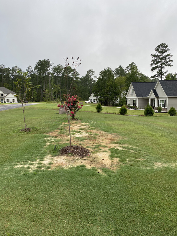 3F747C7A-505C-459B-B0ED-70FA27CC27EC