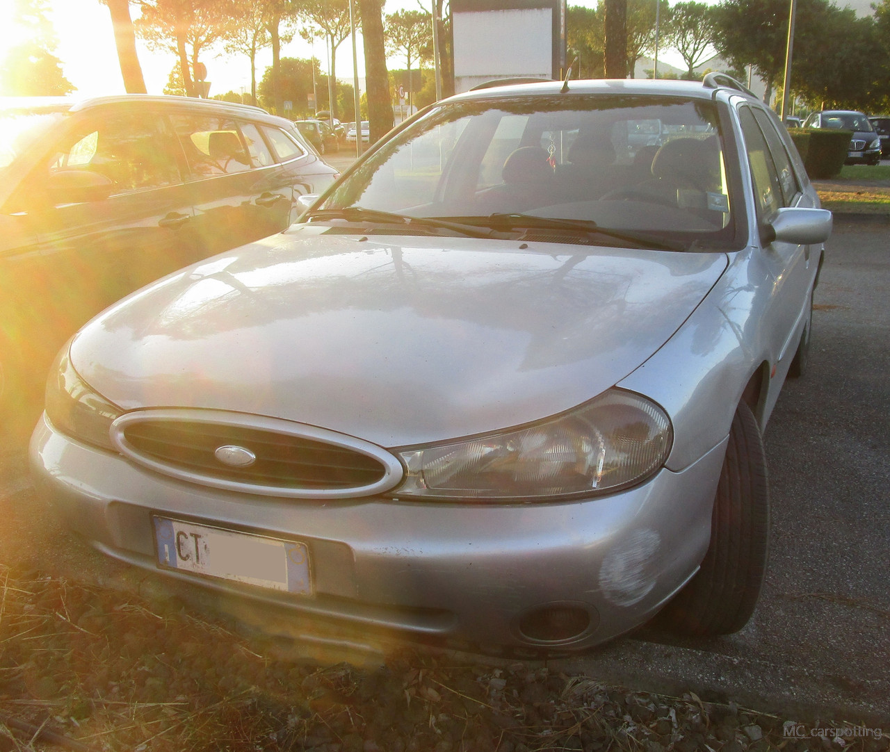 IMG-8627.jpg