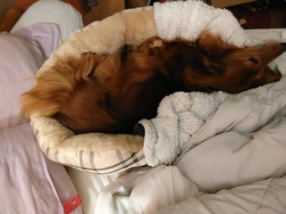 [Image: IMG-20211020-182040.jpg]