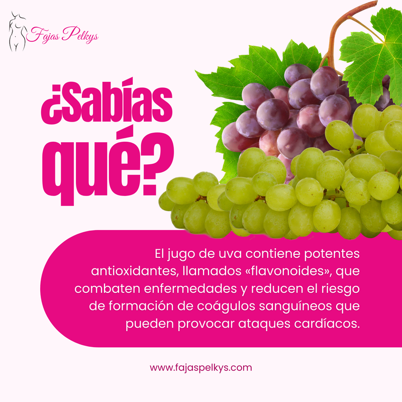 Fajas Pelkys