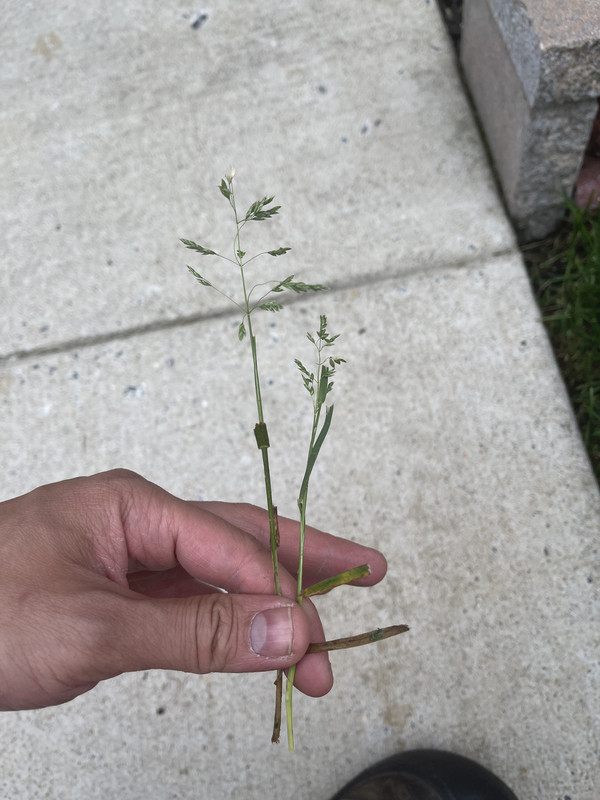 463B02E8-710C-41FF-9D1F-AF96BD0D9A0E