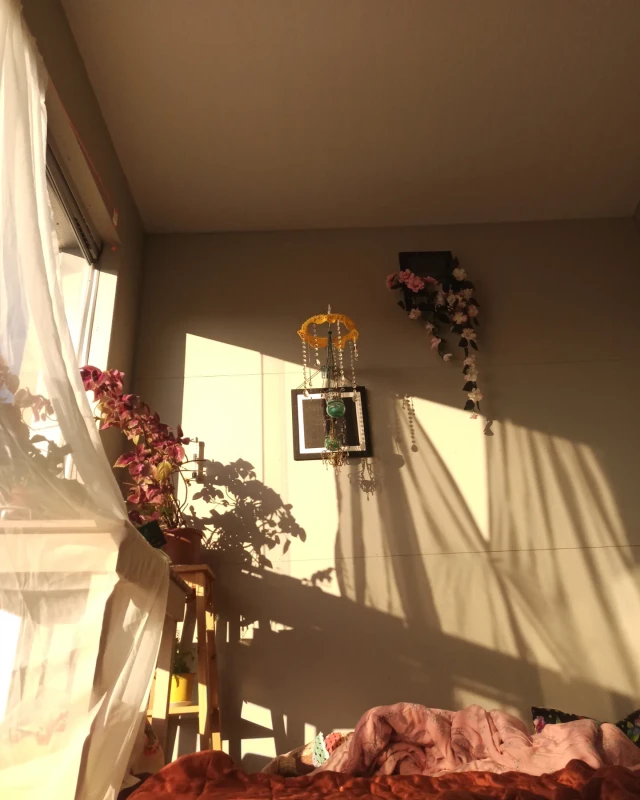 IMG 20240604 162936 378