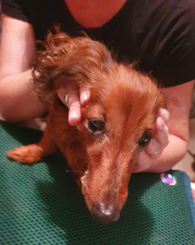 [Image: 20220518-155405.jpg]