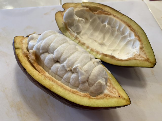 F84EB31F-953A-446B-A0F2-7A9388E49787