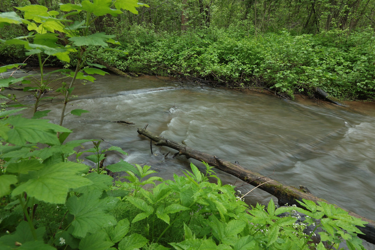 IMG_5596 (2592 x 1728)