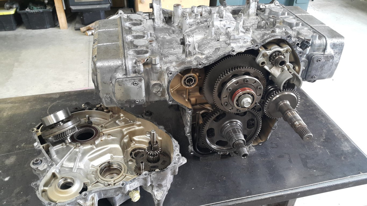 20200329_142454 (Medium)