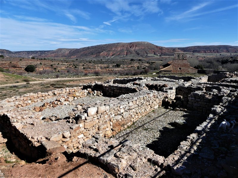 YACIMIENTO ARQUEOLOGICO DE TIERMES-16-2-2020 - Soria y sus pueblos-2010/2013/2020 (103)
