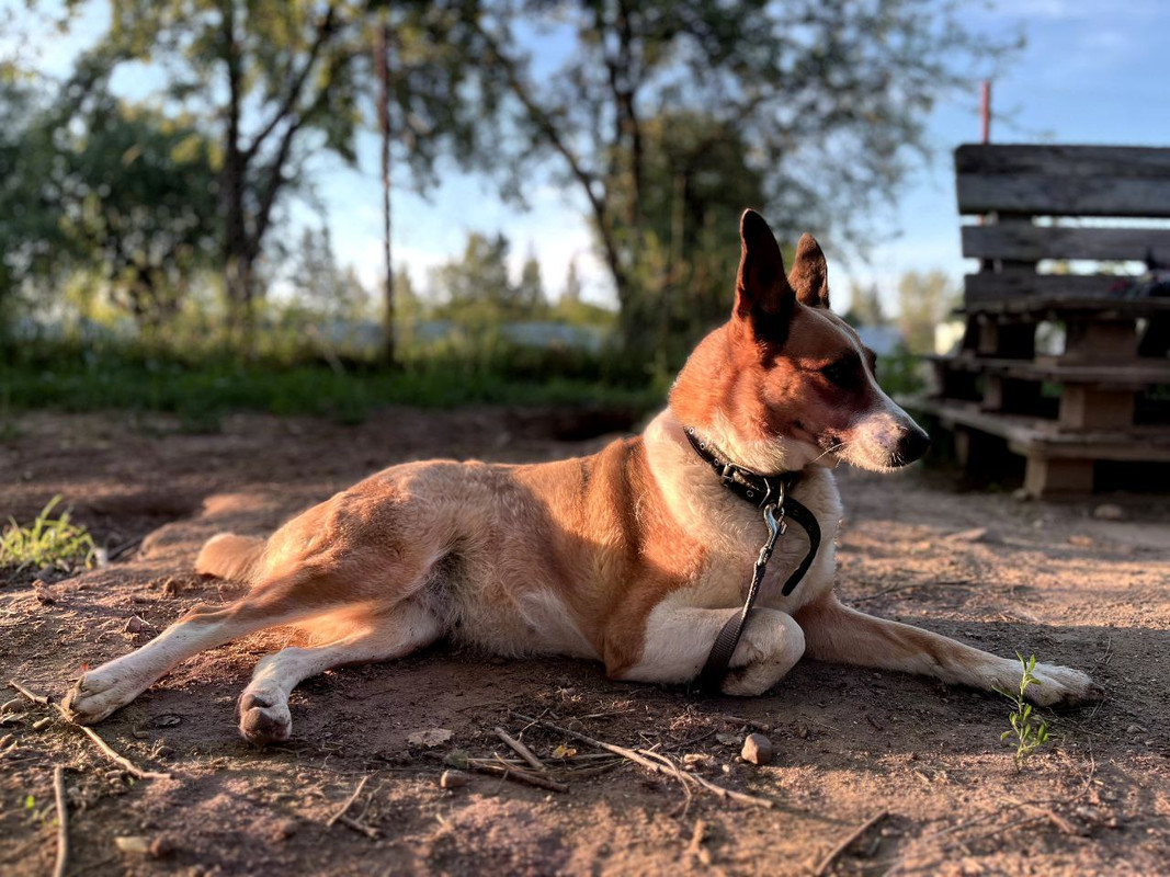 photo_2024-06-30_22-12-24