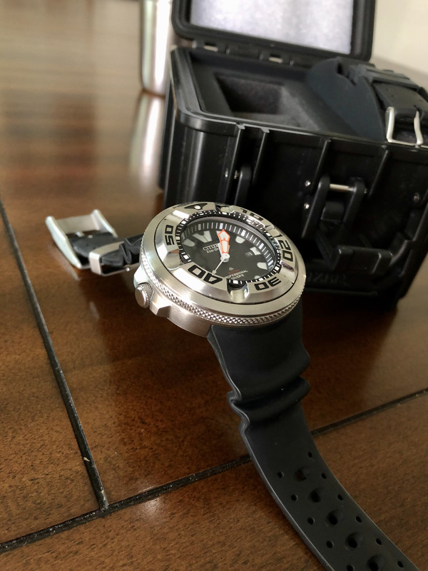 citizen ecozilla bj8050