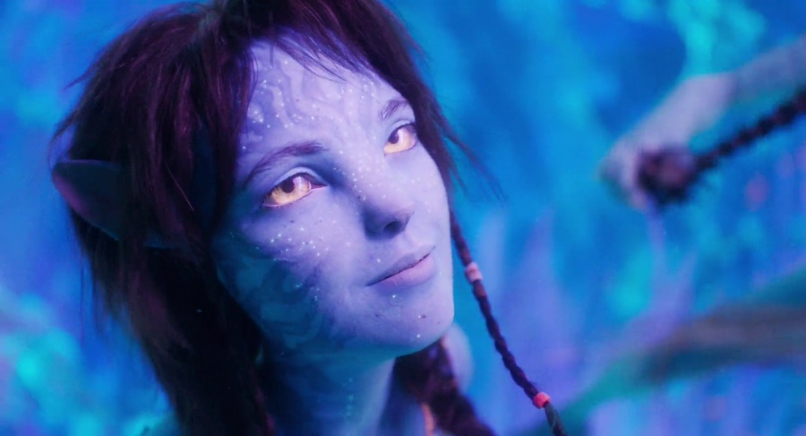 Avatar: The Way of Water 2022 BluRay [Hindi + Tamil + Telugu + Malayalam + Kannada + English] 480p 720p 1080p HEVC ESub Screenshot