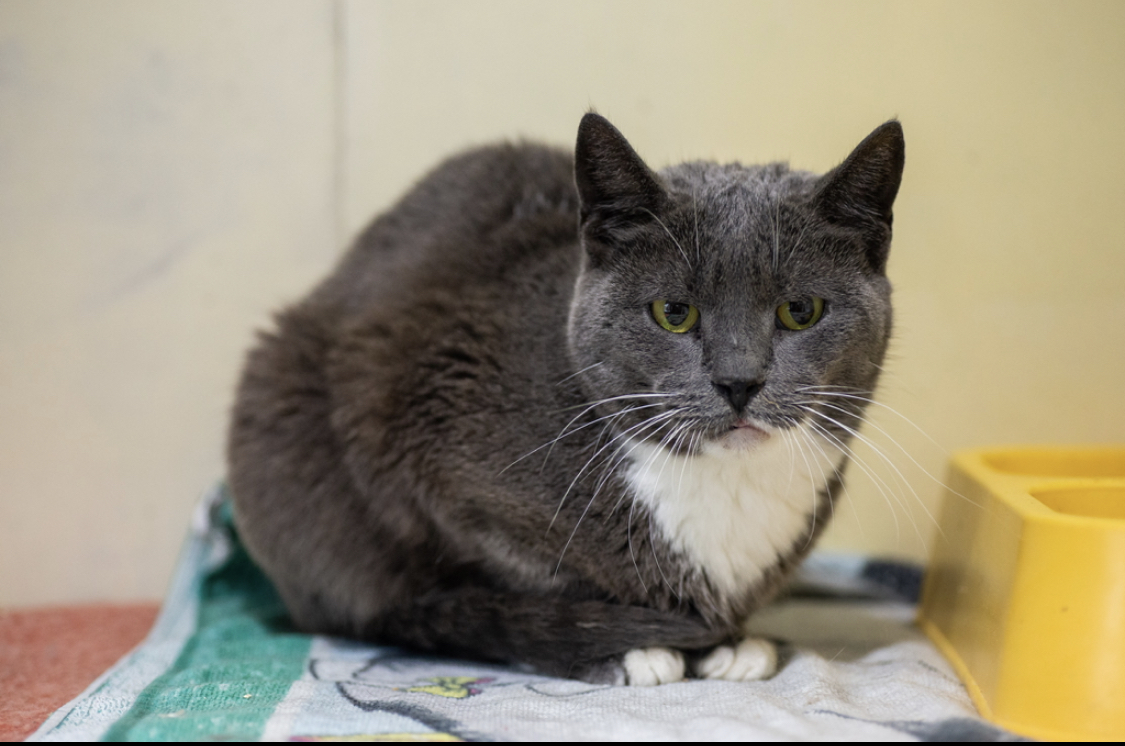 506E39A4-63E9-451F-9B86-C62D52084856