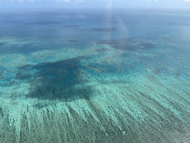 Gran barrera de coral desde el aire - El abrazo a Pearl (3)