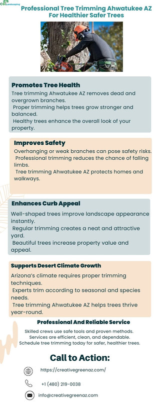 Professional Tree Trimming Ahwatukee AZ For Healthier Safer Trees